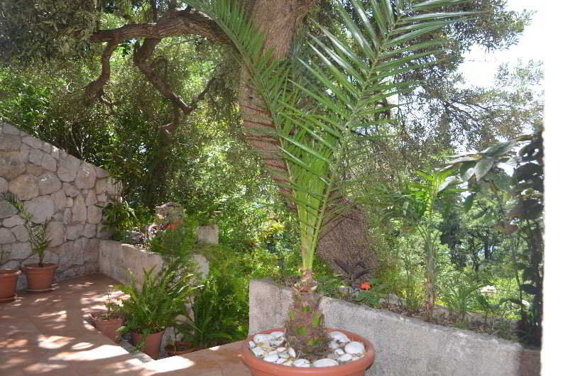 Apartments Martiva Dubrovník Exteriér fotografie